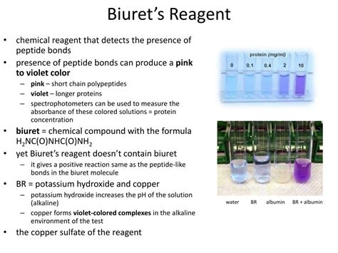 biuret reagent pronunciation